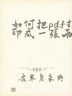 如何把pdf打印成一张两页