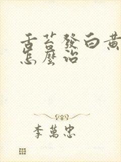 舌苔发白黄口臭怎么治