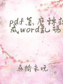 pdf怎么转换成word乱码怎么解决