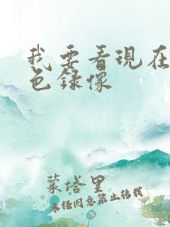我要看现在的黄色录像