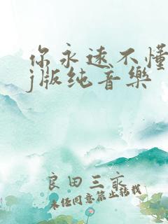 你永远不懂我dj版纯音乐