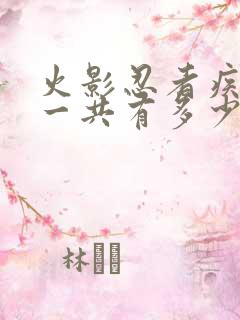 火影忍者疾风传一共有多少集