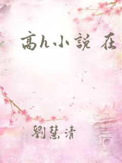 高h小说 在线