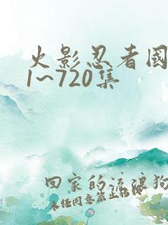 火影忍者国语版1~720集