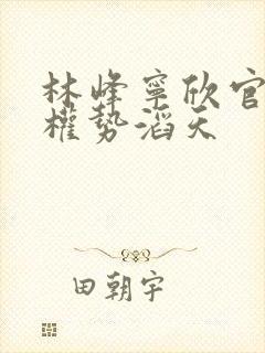 林峰宁欣官道之权势滔天
