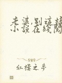 老婆,别这样 小说在线阅读