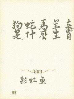 狗蛇马羊来猜特是什么生肖