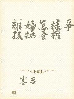 离婚怎样争夺小孩抚养权