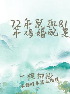 72年鼠与81年鸡婚配是否合适