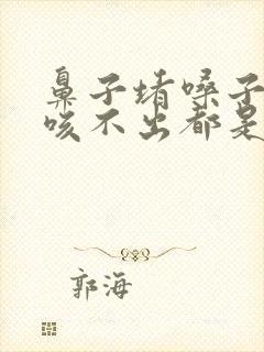 鼻子堵嗓子有痰咳不出都是黄痰