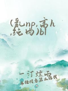 (乱np,高h,纯肉)bl