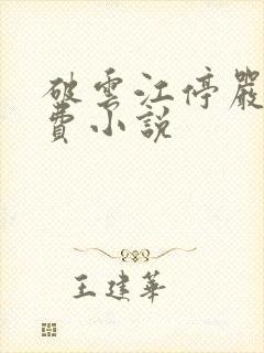 破云江停严l免费小说