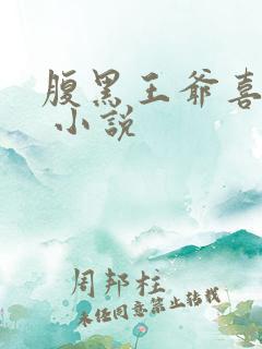 腹黑王爷喜当爹 小说