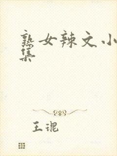 熟女辣文小说合集