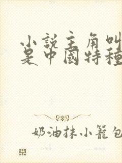 小说主角叫13是中国特种兵