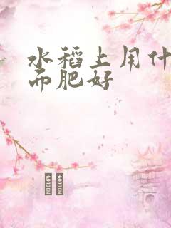 水稻上用什么叶面肥好