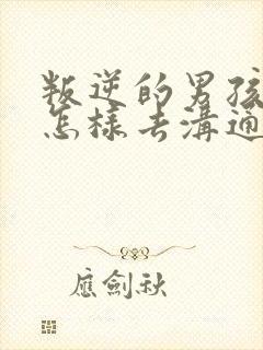 叛逆的男孩子该怎样去沟通教育