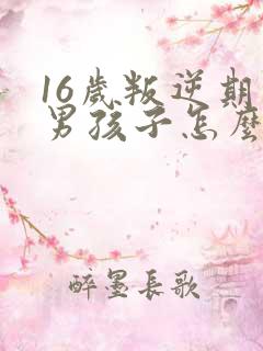 16岁叛逆期的男孩子怎么去引导