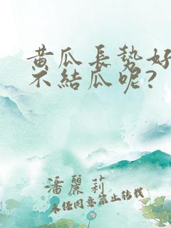 黄瓜长势好,但不结瓜呢?