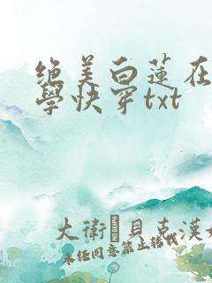 绝美白莲在线教学快穿txt