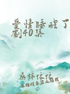 爱情睡醒了电视剧40集