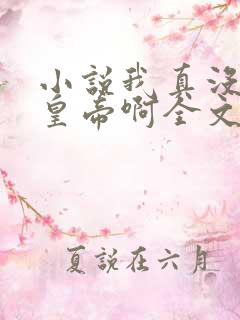 小说我真没想当皇帝啊全文阅读