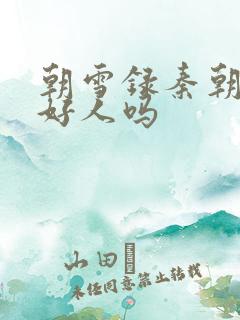 朝雪录秦朝羽是好人吗