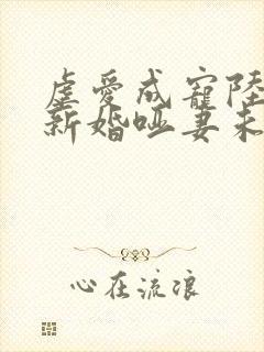 虐爱成宠陆总的新婚哑妻未删减