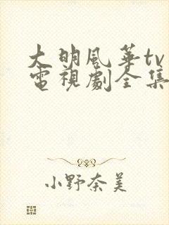 大明风华tv版电视剧全集免费观看