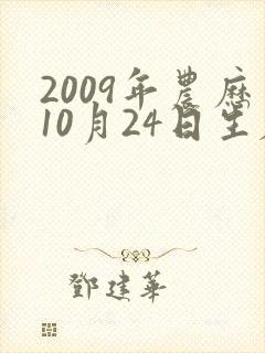 2009年农历10月24日生辰八字