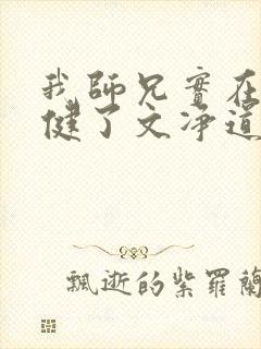我师兄实在太稳健了文净道人结局