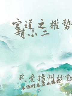 官道之权势滔天 赵小二