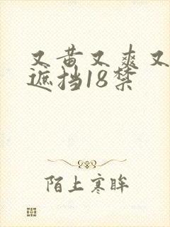 又黄又爽又色无遮挡18禁