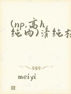 (np,高h,纯肉)清纯校花