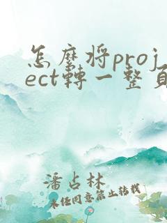 怎么将project转一整页pdf