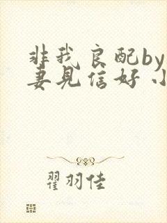 非我良配by吾妻见信好 小说免费阅读