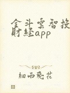 金斗云智投汇正财经app