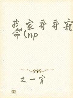 我家哥哥宠妹如命(np