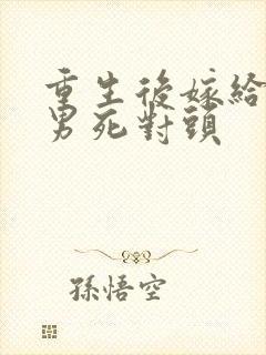 重生后嫁给了渣男死对头