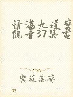 情满九道弯免费观看37集电视剧