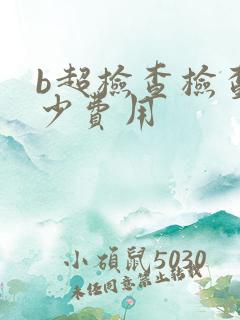 b超检查检查多少费用