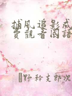 捕风追影成龙免费观看国语