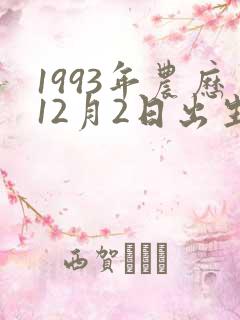 1993年农历12月2日出生生辰八字