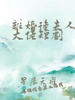 离婚后夫人成了大佬短剧
