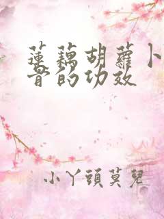 莲藕胡萝卜炖排骨的功效