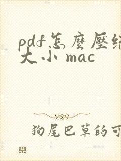 pdf怎么压缩大小 mac