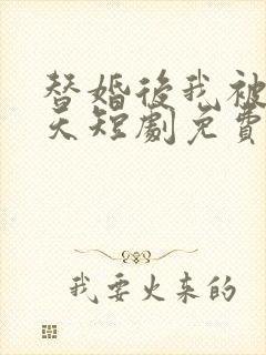 替婚后我被宠上天短剧免费观看全集