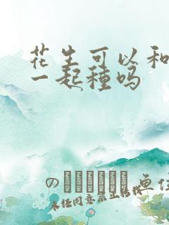 花生可以和玉米一起种吗