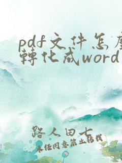 pdf文件怎么转化成word文档