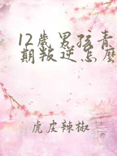 12岁男孩青春期叛逆怎么办
